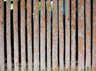 Close-up photo of bamboo lattice barrier