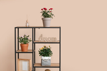 Shelving unit with roses in pots in living room. Closeup