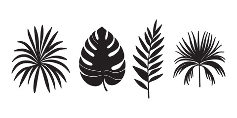 Tropical leaves, flowers set. Simple Black and White Tropical Leaves and Palm Tree Silhouette Design