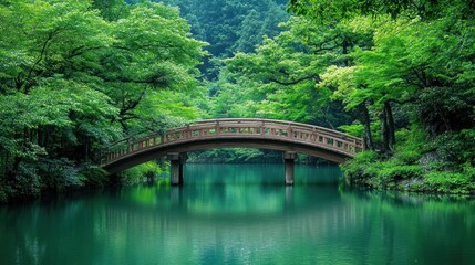 Fototapeta premium Serene Wooden Bridge over Emerald Lake in Lush Forest
