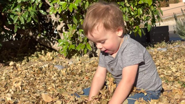Cute Toddler Boy Playing with Leaves