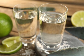 Tequila shots with salt, limes and agave leaves on table, closeup