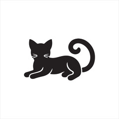 black cat on white background
