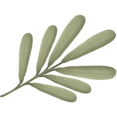 Leafs green watercolor 