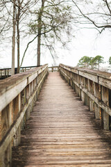 long wooden bridge in the park