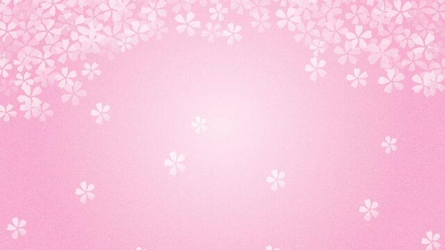 Spring vector background with falling pink cherry blossoms animation