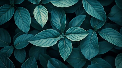 Lush teal leaves, garden backdrop, nature pattern