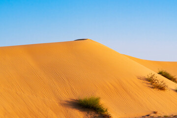 sand dunes in the desert