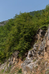 Rhodopes, are a mountain range in Southeastern Europe. Bulgaria. Panorama. The forest area covers the mountains.