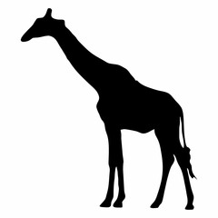 giraffe silhouette with long neck