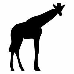 giraffe silhouette with long neck