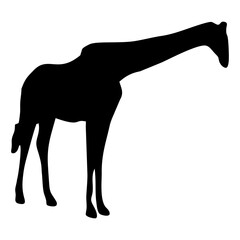 giraffe silhouette with long neck
