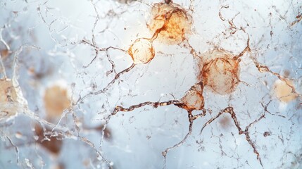 Aging cells viewed under a microscope in a research lab. Featuring cellular aging and molecular breakdown