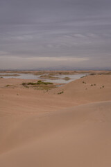The river going through the desert in Wuhai, Inner Mongolia, China. Background, copy space for text
