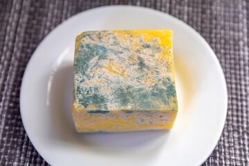 Old, moldy cheese with greenish fungus