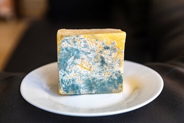 Old, moldy cheese with greenish fungus