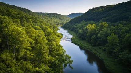 Gardinen Video generation of a calm river flowing through a lush valley with dense trees. Featuring peacefulness and natural beauty © Taina