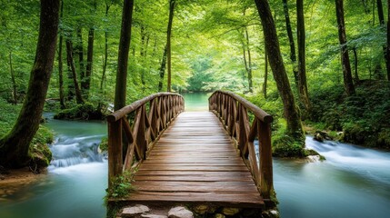 Obraz premium Serene Wooden Bridge Over Tranquil Stream in Lush Green Forest