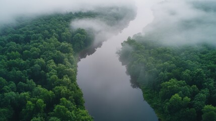 Video generation of a misty river flowing through a dense forest. Featuring calm and mystery