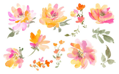 Watercolor Abstract Pink and orange Peonies, Wildflowers, and Leaves PNG clipart Set. Hand-Painted Floral illustration collection for pattern with transparent background.
