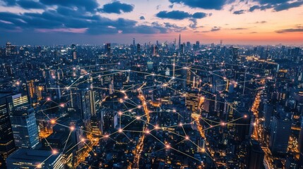 Fototapeta premium sunset in the field