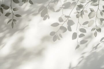 Light gray wall with shadows of leaves and branches.