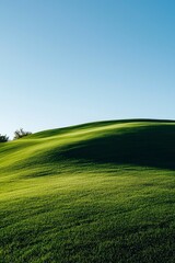 Fototapeta premium Rolling Green Hills Under Clear Sky