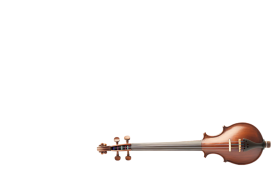Violin instrument isolated on dark background, musical instrument, studio shot