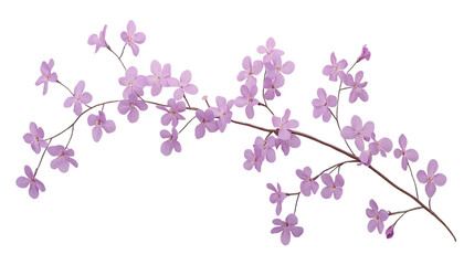 Obraz premium Pink flower branch against black background
