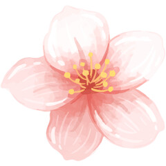 A single sakura blossom painted in watercolor capturing delicate beauty © andinur