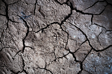 cracked soil texture