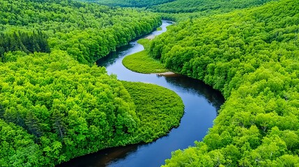 Aerial View: Serpentine River in Lush Green Forest - Aerial photogr.