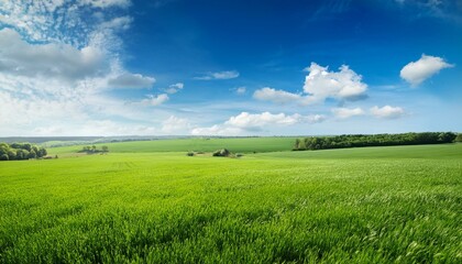 Obraz premium Green Field And Blue Sky. Generated image