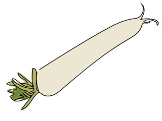 Radish in continuous line drawing on white background.