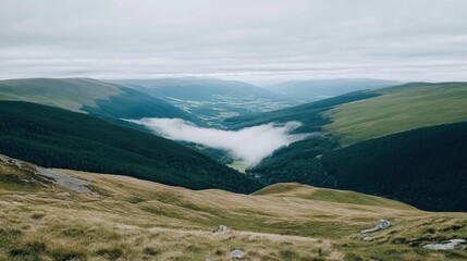 Fototapeta premium Verdant Valley Landscape with Low Fog Patches under Overcast Sky with Rolling Hills
