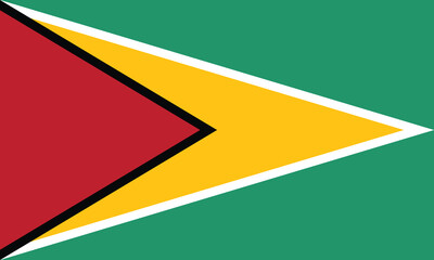 Flag of Guyana. Guyana flag official size and color standards vector illustration