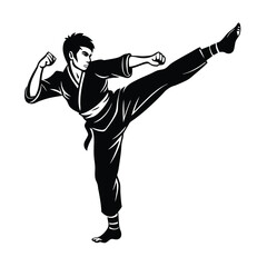 Martial Arts, Karate, Silhouette, Kick, Fighter, Action, Power, Strength, Sport, Dynamic