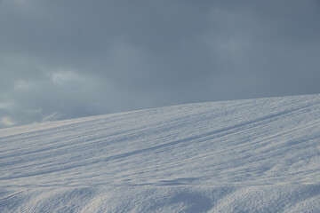 北海道冬の美瑛の風景19