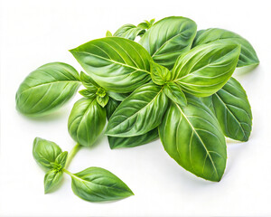 Exotic Organic Spices, Vegetables & Fruits &ndash; Natural Food Flat Lay from South Asia.