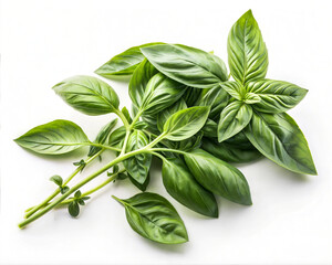 Exotic Organic Spices, Vegetables & Fruits &ndash; Natural Food Flat Lay from South Asia.