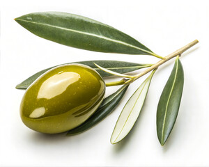 Exotic Organic Spices, Vegetables & Fruits &ndash; Natural Food Flat Lay from South Asia.