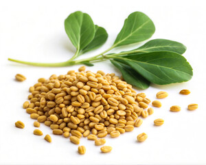 Exotic Organic Spices, Vegetables & Fruits &ndash; Natural Food Flat Lay from South Asia.