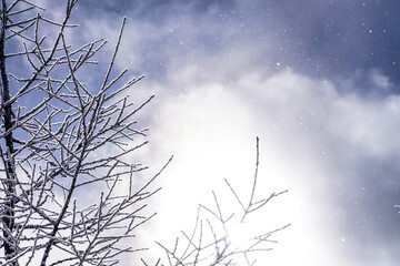 白銀の世界に広がる幻想的な冬景色