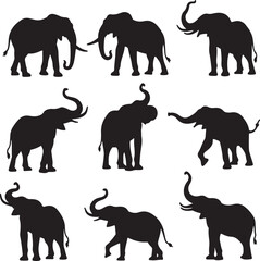 Fototapeta premium Stunning Elephant Silhouette Collection - Beautiful Artwork & Design.