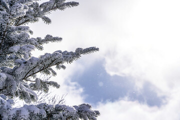 白銀の世界に広がる幻想的な冬景色