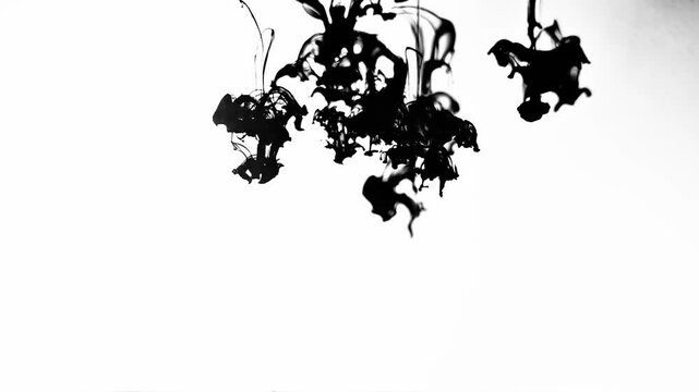 India ink 003