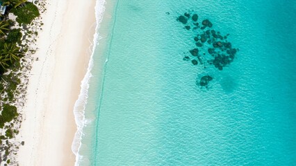 Stunning Aerial View of a Pristine Tropical Beach and Turquoise Water. This high-angle, full shot showcases a breathtaking tropical beach with a vibrant turquoise ocean.