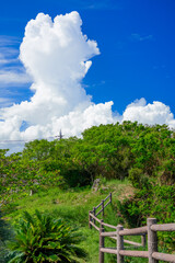 Fototapeta premium 沖縄の風景