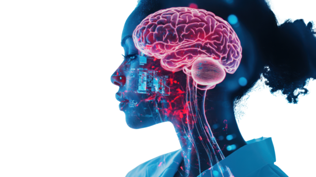 A digital representation showcasing the intricate connections within the human brain, highlighting neural pathways and cognitive processes.