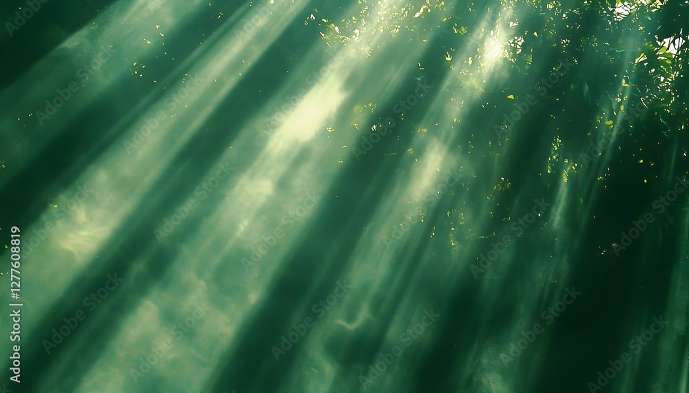 Poster sunbeams filtering through lush green foliage, creating a mystical and ethereal atmosphere. perfect 